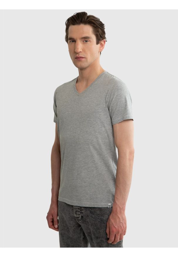 Big-Star - Koszulka męska v-neck z bawełny supima szara Supiclassicov 901. Kolor: szary. Materiał: bawełna. Długość: długie