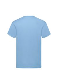 FRUIT OF THE LOOM - Oryginalna Bawełniana Koszulka Unisex Dla Dorosłych. Kolor: niebieski. Materiał: bawełna. Sport: turystyka piesza