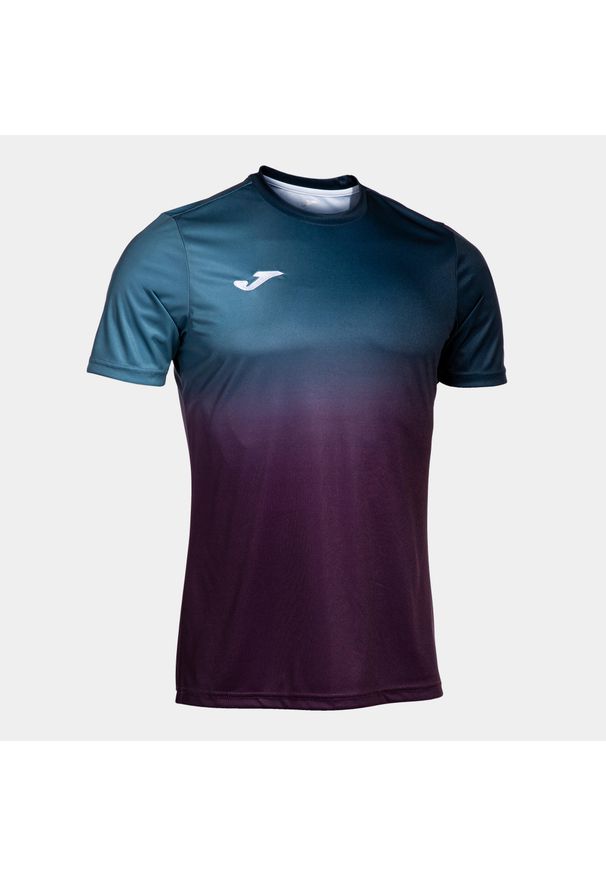 Koszulka Joma Pro Team. Kolor: niebieski. Sport: piłka nożna