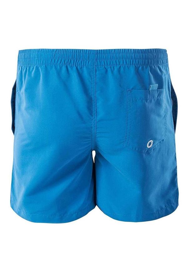 AquaWave - Męskie Spodenki Kąpielowe Z Logo Apeli. Kolor: niebieski. Styl: sportowy