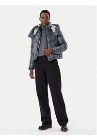 Blauer Kurtka zimowa 25WBLDC02170 Szary Regular Fit. Kolor: szary. Materiał: syntetyk. Sezon: zima