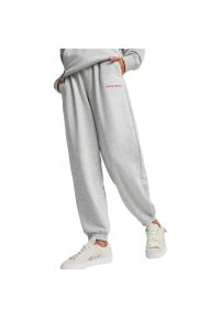 Spodnie Puma Team Sweatpants Tr, Kobiety. Kolor: szary. Materiał: materiał, bawełna. Sport: fitness
