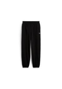 Spodnie Puma Wardrobe Ess Relaxed Tr Cl. Kolor: czarny