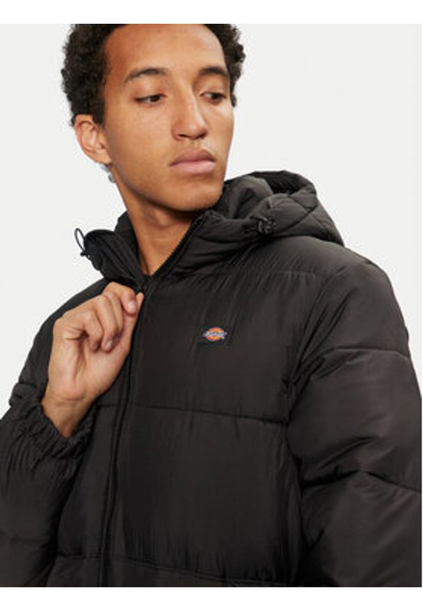 Dickies Kurtka zimowa Waldenburg DK0A4YEY Czarny Regular Fit. Kolor: czarny. Materiał: syntetyk. Sezon: zima