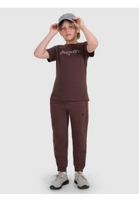 4f - 4F T-shirt regular z nadrukiem chłopięcy - brązowy 146 (10-11 lat). Okazja: na co dzień. Kolor: brązowy. Materiał: jersey, bawełna, materiał. Długość rękawa: krótki rękaw. Długość: krótkie. Wzór: nadruk. Sezon: lato. Styl: casual, klasyczny, sportowy #2