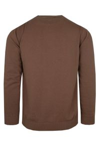 Klasyczny Sweter Męski - Rigon - Bawełna - Jasny Brąz. Kolor: brązowy, wielokolorowy, beżowy. Materiał: bawełna. Wzór: nadruk. Styl: klasyczny #3
