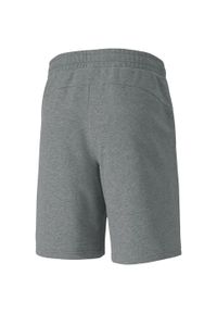 Puma - Shorty Męskie TeamGoal 23. Kolor: szary