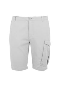 Szorty bermudzkie Regatta Bendrick. Kolor: szary. Sport: turystyka piesza #1