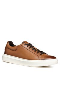 Geox Sneakersy U Deiven U455WD 00085 C6002 Brązowy. Kolor: brązowy. Materiał: materiał #4