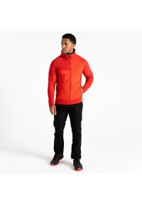 DARE 2B - Bluza turystyczna męska Assimilate Core Stretch. Kolor: czerwony. Materiał: materiał. Sezon: zima. Sport: narciarstwo
