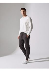 Sinsay - Spodnie dresowe - szary. Kolor: szary. Materiał: dresówka