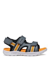 Sandały Geox. Kolor: szary #1