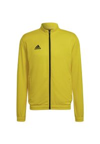Adidas - Bluza piłkarska męska adidas Entrada 22 Track Jacket. Kolor: żółty, czarny, wielokolorowy. Sport: piłka nożna