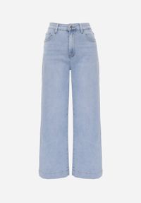 Born2be - Jasnoniebieskie Jeansy z Bawełny o Szerokim Kroju z Wysokim Stanem Senoth. Okazja: na co dzień. Stan: podwyższony. Kolor: niebieski. Styl: klasyczny, casual #8