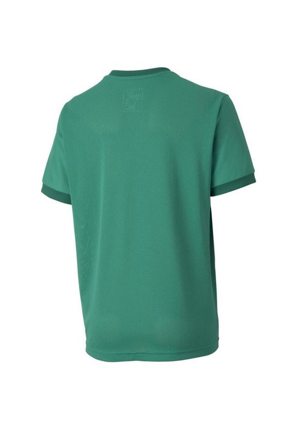 Koszulka dla dzieci Puma teamGOAL 23 Jersey. Kolor: zielony. Materiał: jersey, poliester