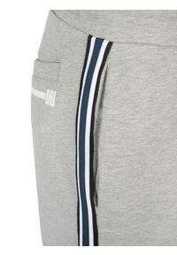Les Hommes Spodnie "Jogging" | UHJ101752U | Jogging Pants | Mężczyzna | Szary. Kolor: szary. Materiał: bawełna, poliester. Wzór: aplikacja #11