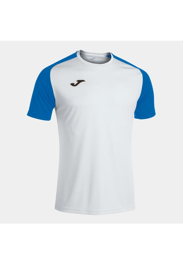 Koszulka do piłki nożnej męska Joma Academy IV. Kolor: wielokolorowy, niebieski, biały. Sport: piłka nożna