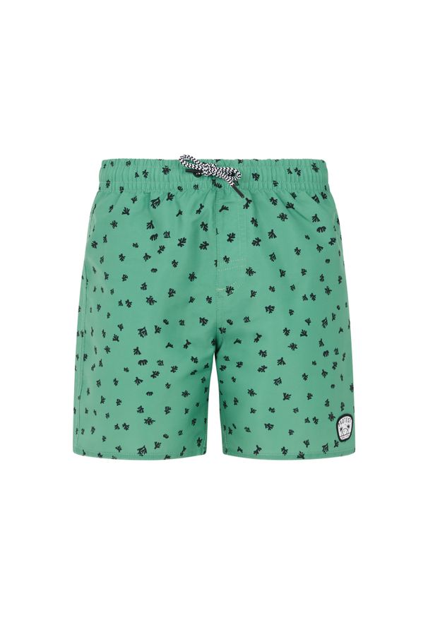 Spodenki kąpielowe dla dzieci Protest Tyson. Kolor: zielony