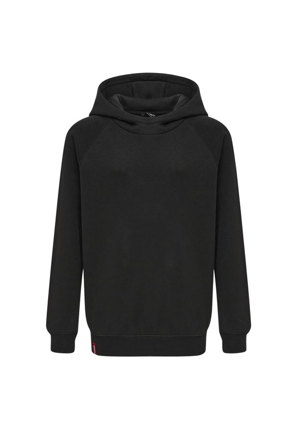 Bluza z kapturem dla dzieci Hummel Red Classic. Typ kołnierza: kaptur. Kolor: czarny. Sport: joga i pilates