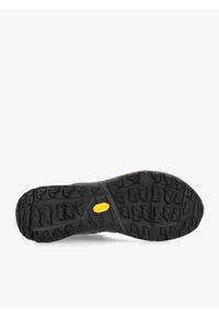 Buty turystyczne męskie Zamberlan Anabasis GTX. Kolor: szary