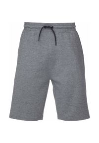 ZSPORT - Męskie szorty z bawełny - komfort i modny wygląd. Kolor: niebieski. Materiał: bawełna. Długość: krótkie. Sezon: lato #1