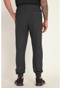 JAY-PI - Męskie Spodnie dresowe FLEXNAMIC® materiał szybkoschnący do fitnessu. Kolekcja: plus size. Kolor: czarny. Materiał: elastan, poliester, materiał. Długość: długie. Sport: fitness