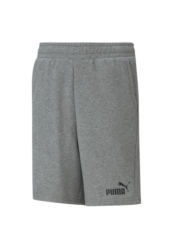 Puma Sweat, Szary. Kolor: szary. Długość: krótkie. Sezon: lato