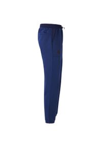 Spodnie do biegania Kappa Gesso. Kolor: niebieski. Materiał: dresówka. Sport: fitness #2