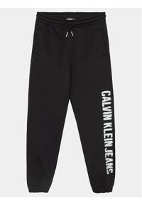 Calvin Klein Jeans Spodnie dresowe Pixel Logo IB0IB01935 Czarny Relaxed Fit. Kolor: czarny. Materiał: bawełna