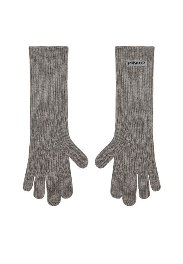 Pinko - PINKO Rękawiczki Damskie Grecia 105997 A2Z4 Szary. Kolor: szary. Materiał: wiskoza