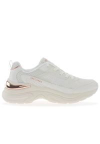 skechers - Buty Skechers Hazel Faye 177576WHT - białe. Zapięcie: sznurówki. Kolor: biały. Materiał: guma, syntetyk, skóra. Szerokość cholewki: normalna. Model: Skechers Sport