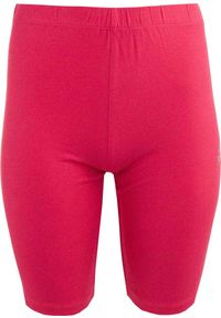 ZSPORT - Elastyczne Szorty Dorina Fuchsia 2XL - Komfort i Styl dla Kobiet. Kolor: różowy. Materiał: elastan, bawełna. Sport: fitness