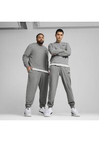 Puma - Męskie spodnie Essentials z logo No. 1 z dżerseju PUMA Medium Gray Heather. Kolor: szary. Materiał: jersey. Sport: fitness