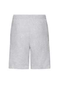 FRUIT OF THE LOOM - Spodenki Jersey Dla Dorosłych Unisex. Kolor: szary. Materiał: jersey