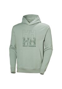 Bluza Helly Hansen Core Graphic. Kolor: szary, wielokolorowy, zielony #1
