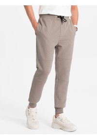 Ombre Clothing - Spodnie dresowe męskie z tkaniny ottoman - popielate V4 OM-PASK-0129 - XXL. Kolor: szary. Materiał: dresówka, tkanina. Styl: sportowy #3