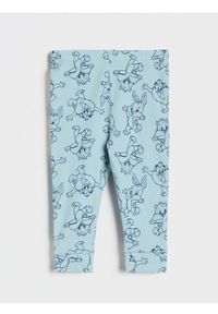 Sinsay - Legginsy Looney Tunes - niebieski. Kolor: niebieski. Wzór: nadruk