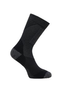 ZANIER - Skarpetki trekkingowe Zanier Hiking Socks. Kolor: wielokolorowy, czarny, szary