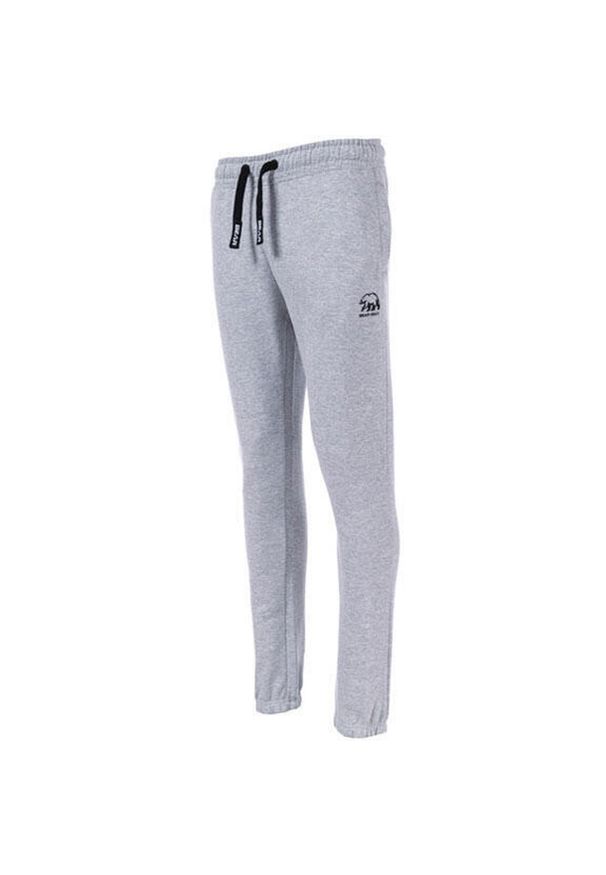 BEAR - Spodnie Bear-Max Peninsula M M dla mężczyzn - Styl i komfort. Kolor: fioletowy. Sezon: zima. Sport: turystyka piesza