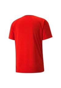 Jersey Puma Team Vision. Kolor: czerwony. Materiał: jersey