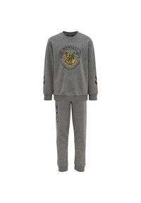 Dziecięcy dres Hummel Harry Potter Spring. Kolor: szary. Materiał: dresówka #1