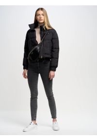 Big-Star - Sweter damski z golfem beżowy Charlinka 801. Okazja: na co dzień. Typ kołnierza: golf. Kolor: beżowy. Materiał: jeans, skóra. Wzór: aplikacja. Styl: klasyczny, casual, wizytowy