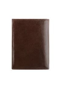 Wittchen - Męski portfel skórzany praktyczny brązowy. Kolor: brązowy. Materiał: skóra #7
