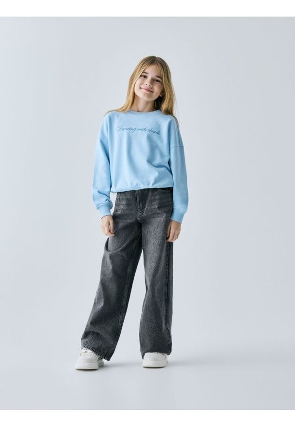 Reserved - Bluza z nadrukiem - jasnoniebieski. Kolor: niebieski. Materiał: dzianina, bawełna. Wzór: nadruk