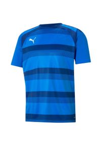 Koszulka męska Puma teamVISION Jersey. Kolor: niebieski. Materiał: jersey
