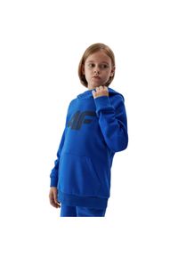 4f - Bluza Dziecięca 4F. Kolor: niebieski #1