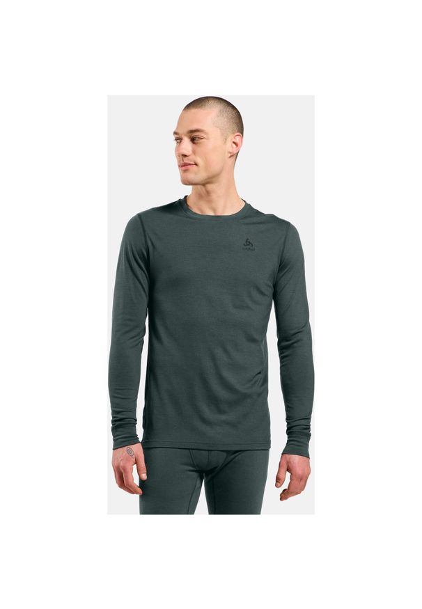 Bielizna termoaktywna z długim rękawem Odlo BL TOP crew neck l/s MERINO 200. Kolor: zielony. Długość rękawa: długi rękaw. Długość: długie