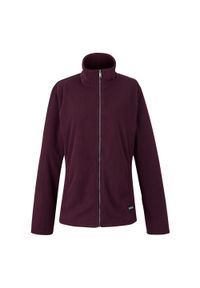 Regatta - Bluza Damska Heidy Z Pełnym Zamkiem Błyskawicznym. Kolor: fioletowy. Sezon: zima. Styl: sportowy. Sport: turystyka piesza #1