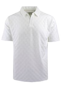 Męska Koszulka Polo z Dekoltem Bez Guzików - Brave Soul - Kość Słoniowa. Okazja: na co dzień. Typ kołnierza: polo. Kolor: biały. Materiał: elastan, poliester. Styl: casual #1
