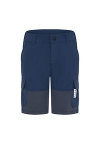 LEGO Wear - Spodenki trekkingowe dziecięce LEGO Lwpayton 300. Kolor: niebieski